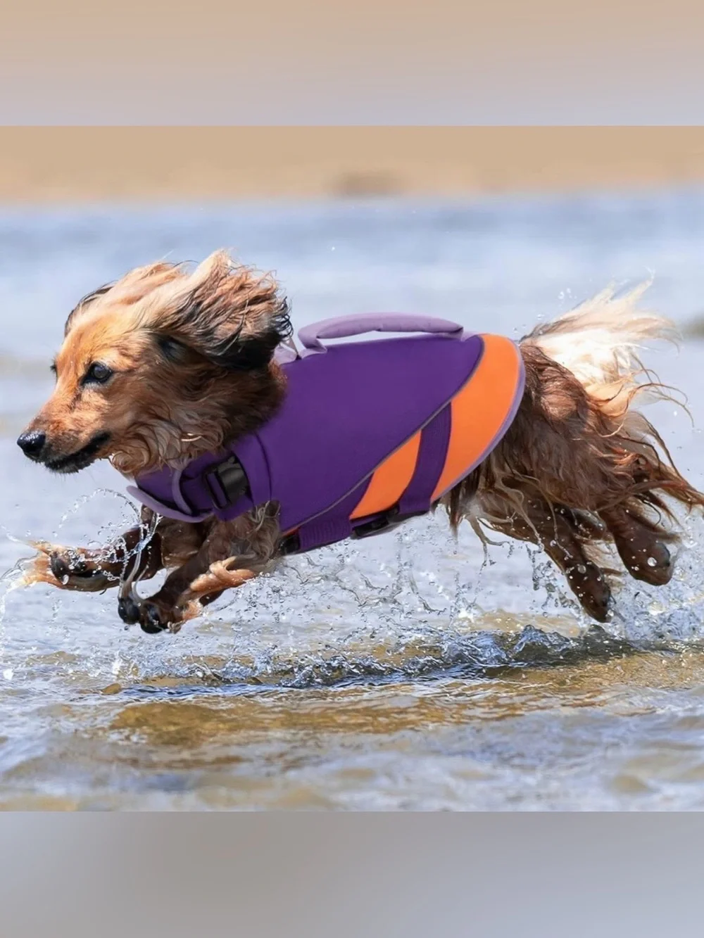 Queenmore Dog Life Jacket,Dog Life Vest for Swimming Boating, Life Jackets for S